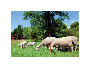 Villanypásztor hálók