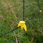 Kép 7/8 - Körszigetelő facsavaros FARMER PLUS 50db/cs