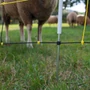 Kép 8/8 - Körszigetelő facsavaros FARMER PLUS 50db/cs