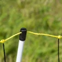 Kép 3/4 - Juhháló HORINEZT 90cm/50m 1 tüskés